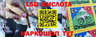 бошки Камышлов